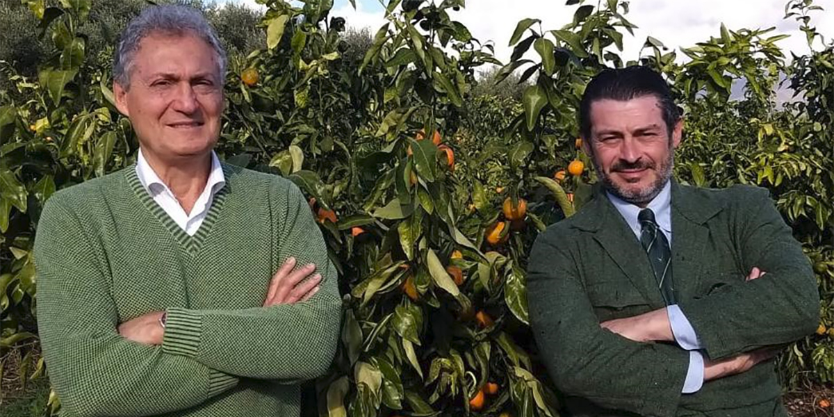 Perrina apre un nuovo corso per le clementine italiane